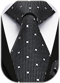 HISDERN Dot Ties for Men Wedding Tie Handkerchief Formal Business Necktie & Pocket Square Set