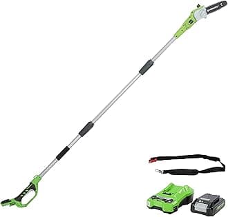 G24PS20K2 Cordless long reach Pole Saw (Great for Pruning and Trimming Branches), 8 Inch (20cm) Bar Length, 6.7m/s Chain Speed, light weight, 2.6m Pole Reach, 24V 2Ah Battery & Charger