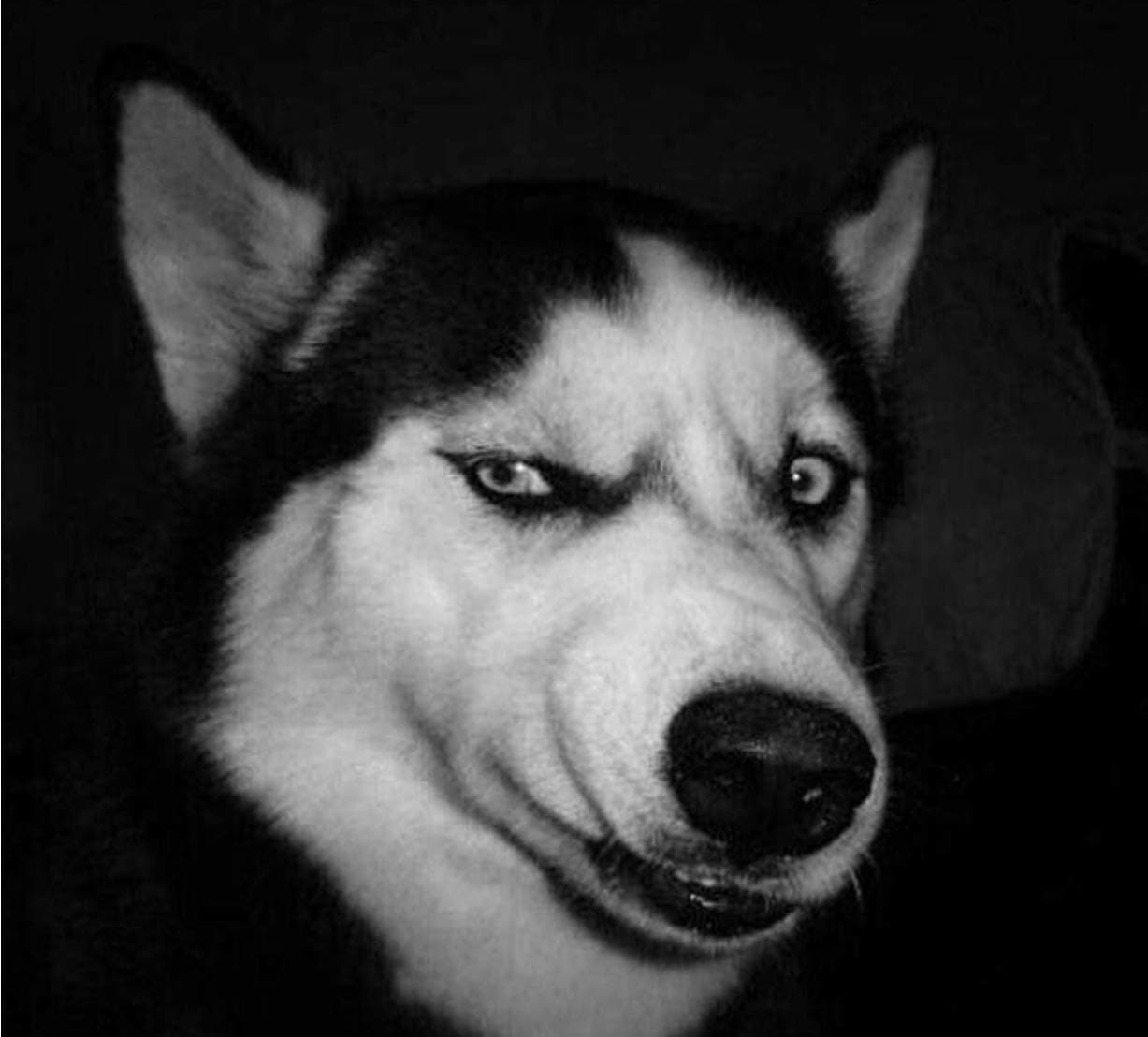 UWYSTON Android Game Controller for IOS Gamepad Support iPhone/iPod/Ipad/Mac/Android Device Joystick Controller for Android Phone Smart Television TV Box Win 7/8/10