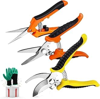 3 Pack Garden Pruning Shears Stainless Steel Blades Handheld Pruners Set with Gardening Gloves