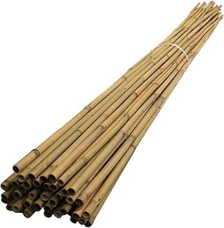 MUSAN Large 2FT 3FT 4FT 5FT 6FT Natural Garden Bamboo Canes - Heavy Duty Strong Plant Support Poles Thick Sticks - Indoor & Outdoor Plants Stakes Wooden Screening Wood Trellis (40, 3FT (10-18mm))
