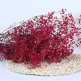 Natural Dry Flower Gypsophila Fresh Dried Preserved Flowers Gypsophila Paniculata Breath Flower Bouquets For Wedding Party Home Dekoration (rose Red,40-55cm80g)