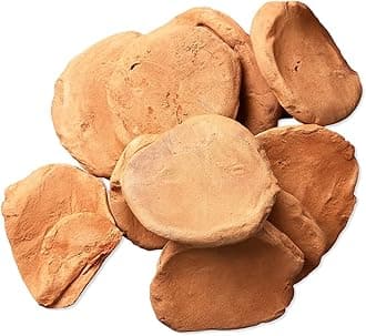 Brightify Punjab Mitti Red Clay Biscuit 1kg Pack Natural Terracotta Style Clay Discs Raw Earth Pieces for Traditional Craft Pottery Sculpture Cultural Display Home Decor DIY Art Projects
