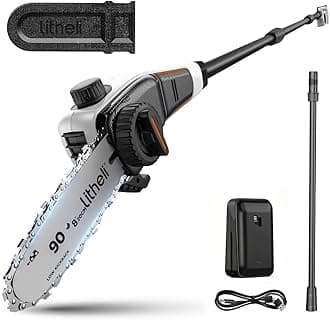 Litheli 20V Cordless Pole Saw, 8'' Battery Powered Pole Chainsaw for Tree Trimming, 28ft/s Cutting Speed, 2.5Ah Battery & Charger Included, for Branch Cutting & Pruning