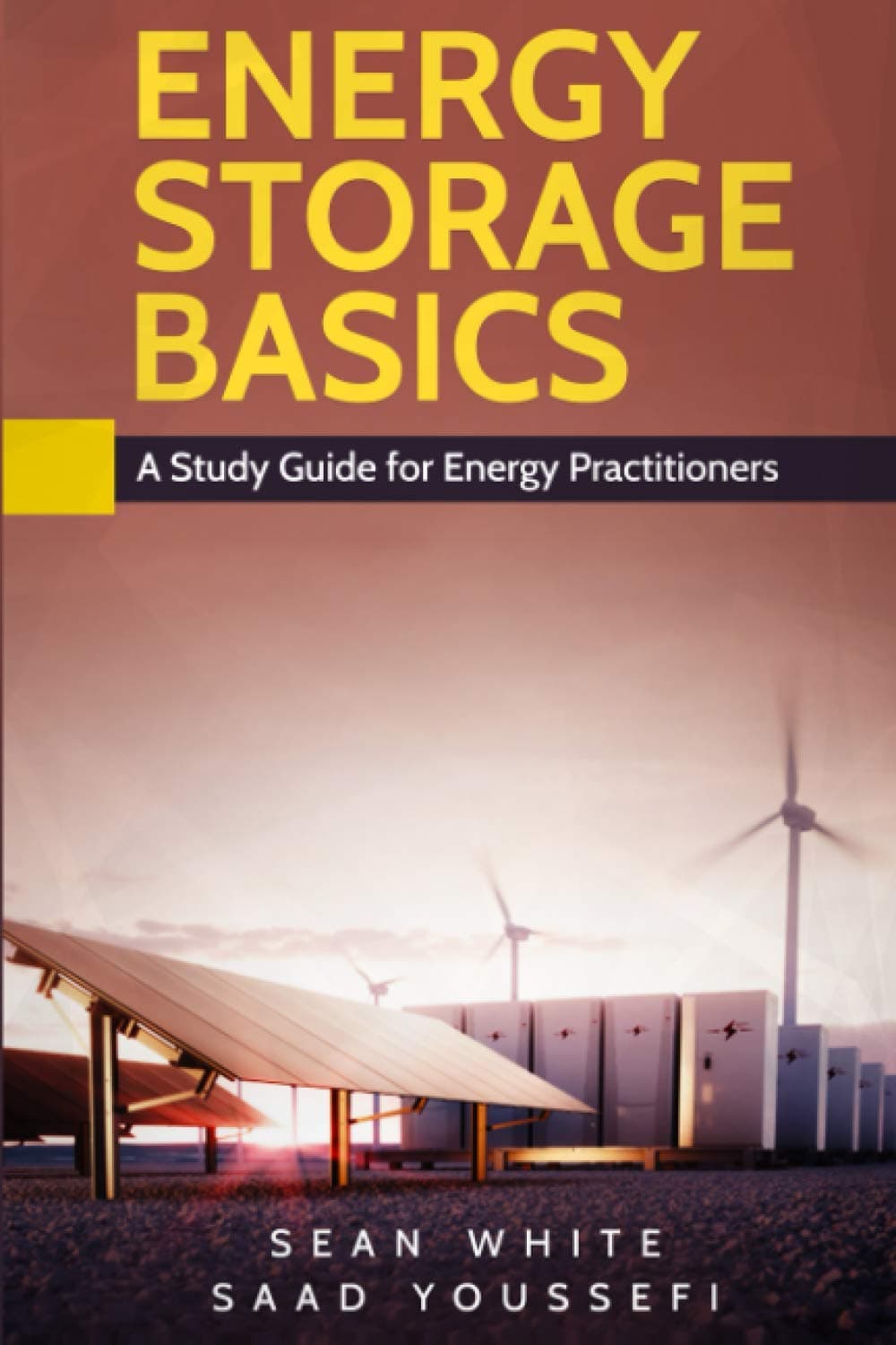 ENERGY STORAGE BASICS: A Study Guide for Energy Practitioners
