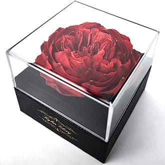 Kylin Glory Fresh Cut Flower Preserved Peony for Women Mom Wife Girlfriend - Flower Gift Real Peony Decor for Mother's Day Valentine's Day Wedding Party Celebration Birthday Anniversary (Dark Red)