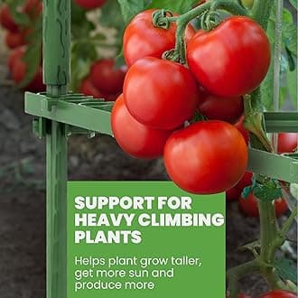 K-Brands Tomato Cage - Premium Tomato Trellis and Plant Support for Tomatoes, Vegetable and Climbing Plants - Tomato Cages for Garden and Pots Outdoor (6 Pack - Extra Tall Upto 68 inches)