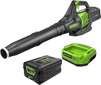 60V 450 CFM Cordless Leaf Blower, 2.0 Ah Battery and Rapid Charger