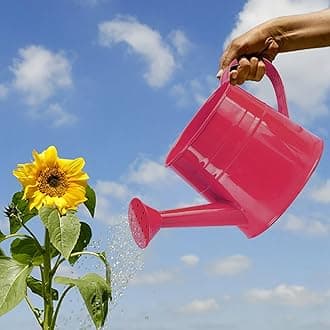 Watering Can,Gardening Tool Accessories, Sprinkling Can Plant Watering Can 1L Metal Flower Garden Watering Can for Outdoor Indoor Plants Lawn Garden (I)