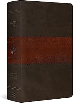 ESV Large Print Personal Size Bible: Esv Personal Size Bible Trutone, Forest/tan, Trail Design Imitation Leather – Import, 29 May 2020