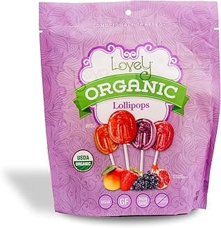 ORGANIC Lollipops - Lovely Co. 7oz Bag (40 count) - Strawberry, Pomegranate, Mango & Grape Flavors | NO HFCS, GLUTEN or Fake Ingredients, 100% VEGAN & Kosher!