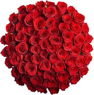 GlobalRose 100 Red Roses Bouquet - Responsibly Sourced Roses Fresh Flowers - Hand-Picked Flowers Fresh Bouquet for Valentine's Day, Birthday & Special Occasions (4 Bunches of 25 Stems)