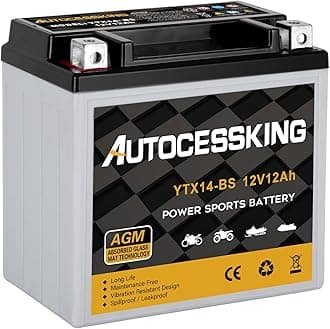 Autocessking YTX14-BS 12V 12Ah Motorcycle Battery, Rechargeable Sealed AGM Battery Maintenance Free Powersport Replacement Battery for ATV and Scooter