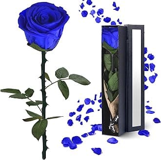 Blue Rose Flowers Gifts for Women: Preserved Roses Birthday Christmas Anniversary for Mom Girlfriend Wife Grandma