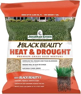 Black Beauty Heat & Drought Grass Seed