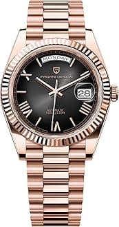 Pagani Design DD36 Men's Watches Luxury Automatic Watch Men AR Sapphire Glass Mechanical Wristwatch Men 10Bar ST16 Movement