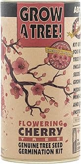 Flowering Cherry Blossom | Tree Seed Grow Kit | The Jonsteen Company