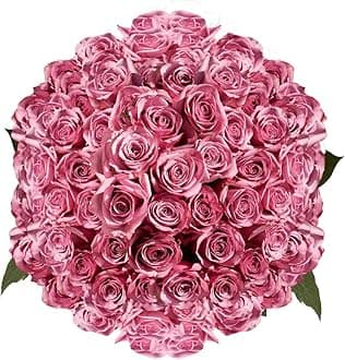 GlobalRose 200 Lavender Roses Bouquet - Responsibly Sourced Roses Fresh Flowers - Hand-Picked Flowers Fresh Bouquet for Graduation, Anniversary, Birthday & Special Occasions (8 Bunches of 25 Stems)