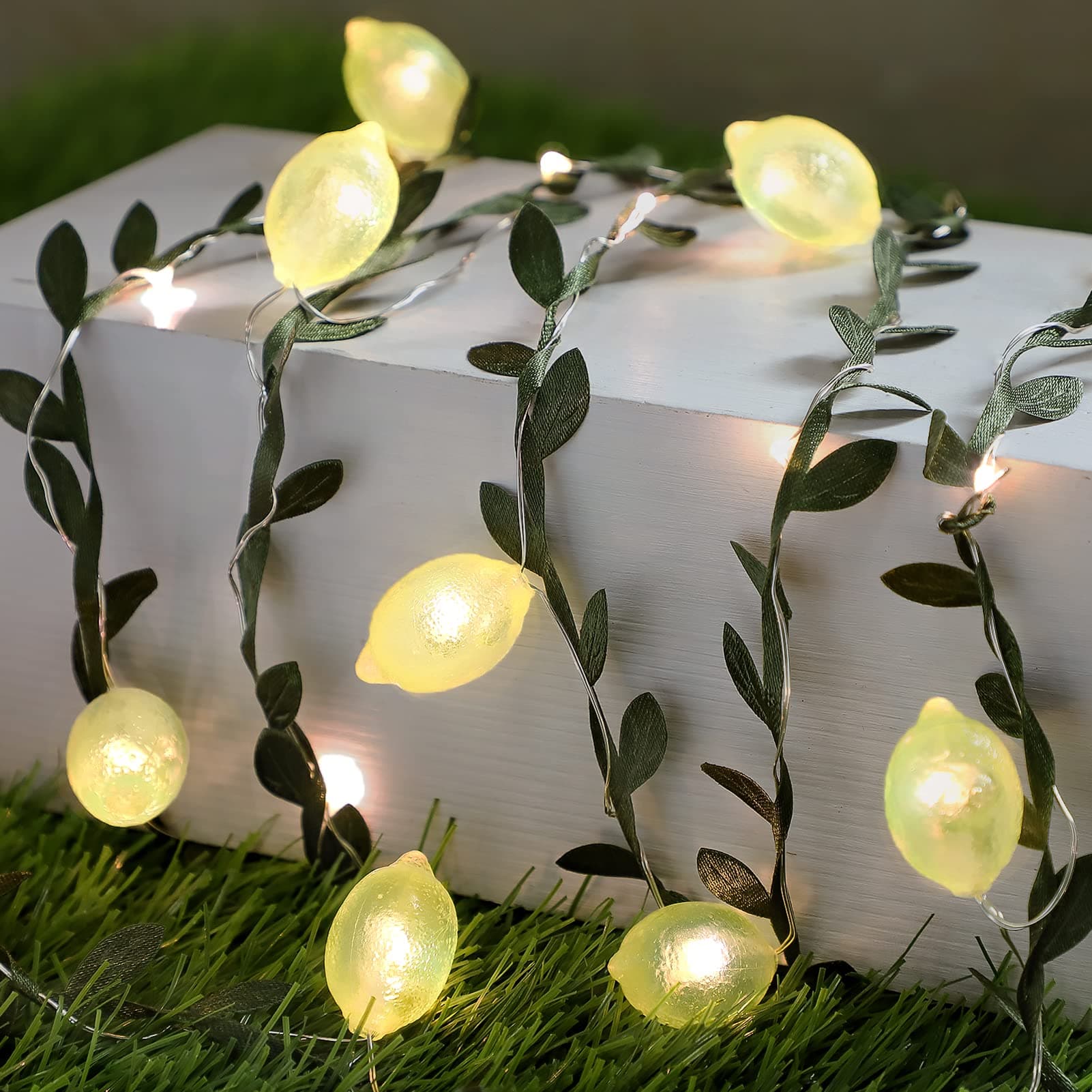3D Lemon LED String Lights, USB/Battery Operated Lights String with Remote Timer, 10ft Lemon Lights Bulbs with Branches Leaves Twinkle Lights for Bedroom, Birthday, Garden, Party Decorations