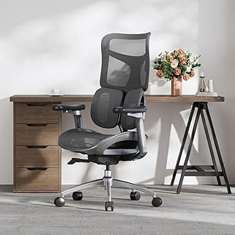 SIHOO S100C Ergonomic Office Chair, 6D Dynamic Lumbar Support, Adjustable Seat Depth, Ultra Soft 3D Armrests, Adjustable Backrest Home Office Chair, Big and Tall Computer Chair (Black)