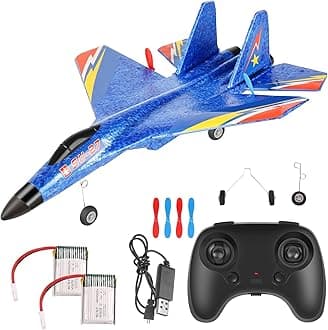 RC Airplane, Remote Control 2CH 2.4Ghz F22 Fighter Jet Toy, Foam RC Plane with Lights, 6-Axis Gyroscope, For Kids (3+), Unisex