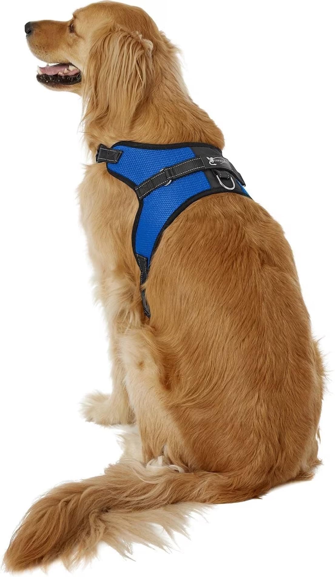 No Pull Reflective Adjustable Dog Harness with Handle- Comfortable Soft All Weather Mesh, Easy On Puppy Harness for Small Medium and Large Dogs (Blue) Large