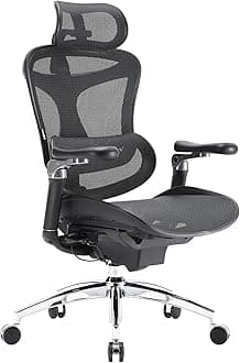 SIHOOErgonomic Office Chair with Ultra-Soft Lumbar Support