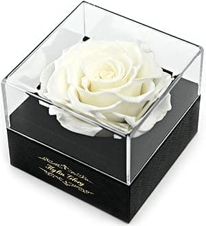Fresh Cut Flower Preserved Rose for Women Mom Wife Girlfriend - Flower Gift Real Rose Decor for Mother's Day Valentine's Day Wedding Party Celebration Birthday Anniversary (White)