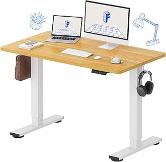 Electric Standing Desk 48 x 24 Inch Adjustable Height Desk Home Office Computer Workstation Sit Stand Desk, Maple Top + White Frame