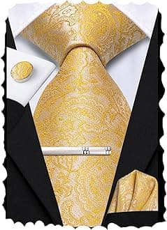 Hi-Tie Classic Mens Silk Ties Set 4 PCS Necktie Pocket Square Cufflinks Clip Pin Solid Strip Paisley Tie