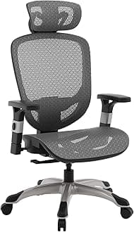 Ergonomic Task Chair, Mesh, Ergonomic, Lumbar Support, Swivel, Gray
