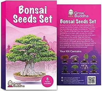 Bonsai Tree Seeds Gift Set by Grow Buddha - Grow Your Own Bonsai Tree Easily with Our 8 Bonsai Tree Seeds Set. Beginner to Expert Level - Unique Seeds Kit Gift Idea