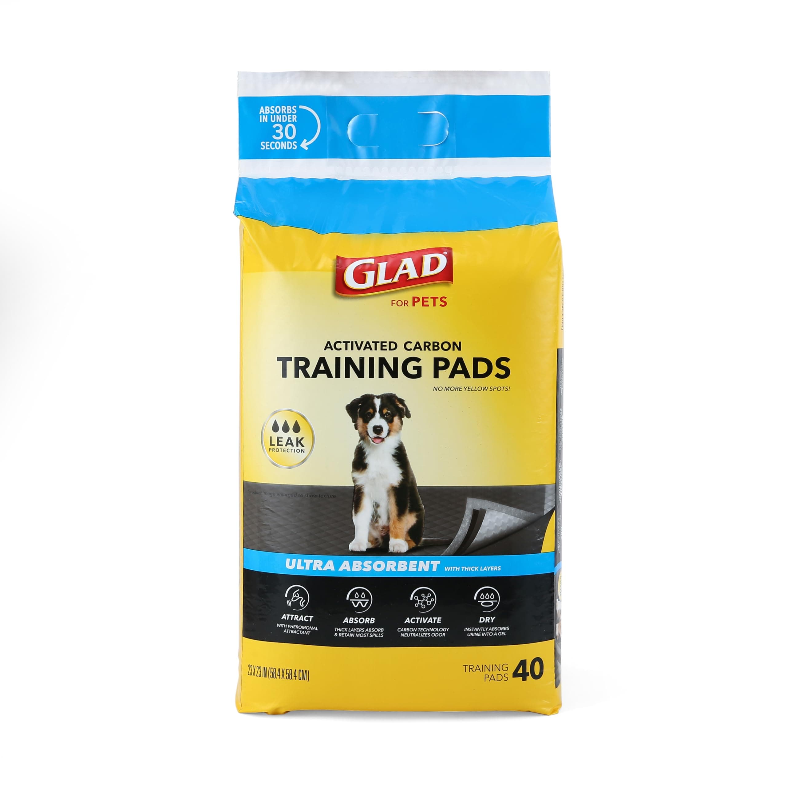 Ultra Absorbent Training Pad