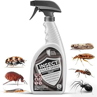 – Effective Insect Killer Spray 650ml for All Life Stages - Indoor & Outdoor Use, HSE Approved, Targets Ants, Fleas, Flies & More, Provides 3-Month Protection