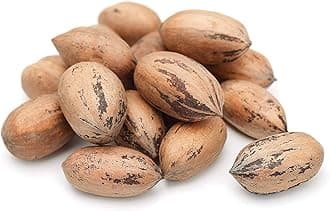 Premium Georgian Raw Fresh Pecans in Shell, 2 Lbs