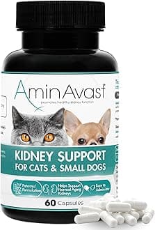 AminAvast Small Dogs & Cat Kidney Support - Promotes Health Kidney Support in Cats & Small Dogs - 300mg, 60 Capsule