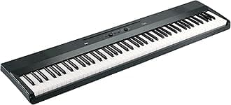 Korg Liano Portable Digital Piano with Premium Soft-Touch Keyboard - Grey