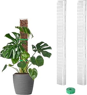 EOX 2 Pcs 24 Inch Plastic Moss Pole for Monstera, Large D Shaped Poles for Climbing Plants Work with Sphagnum Moss, 45 Inch Plant Stake Set of 2, Garden Ties