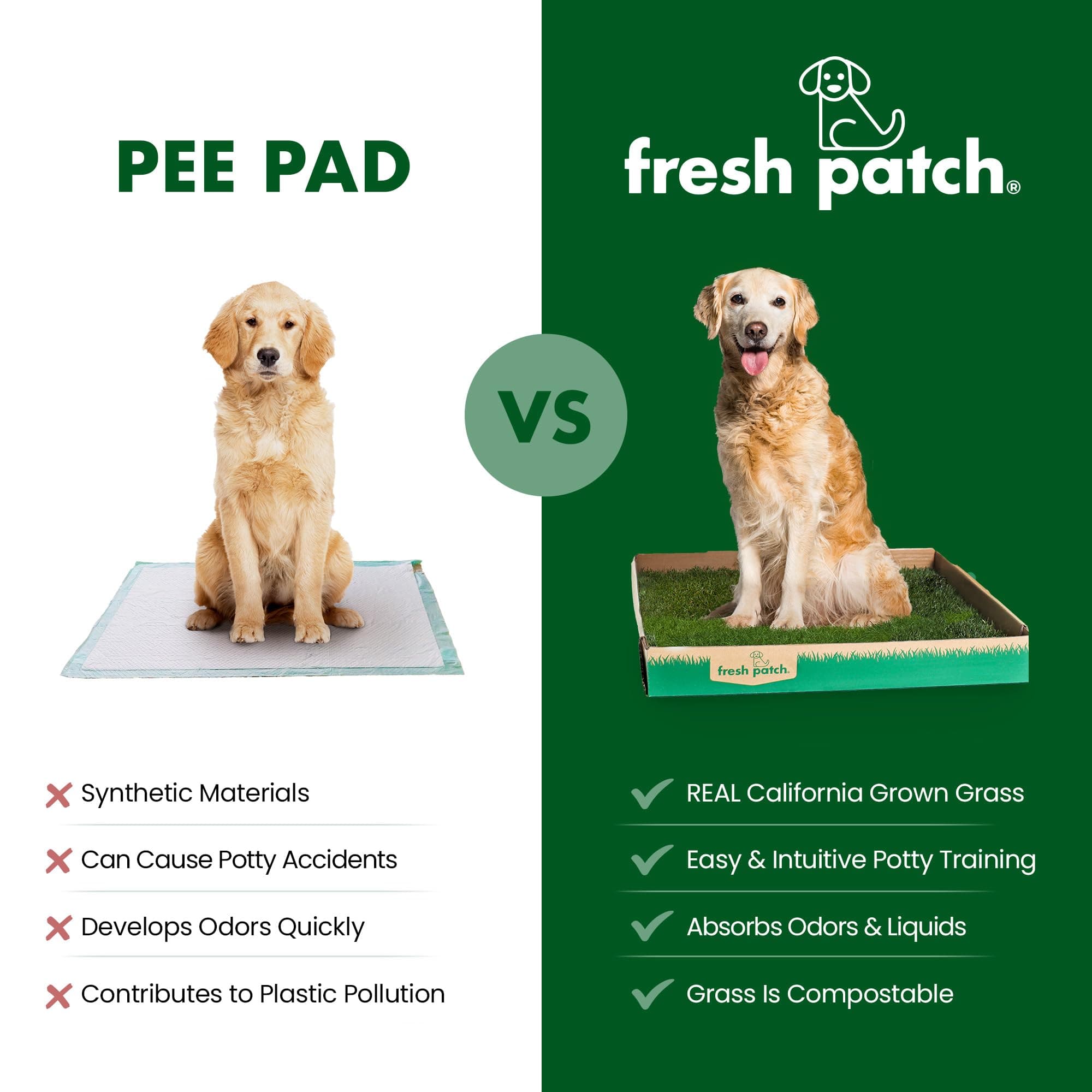 Fresh Patch Mini Real Grass Patch for Dogs, Cats, and Small Pets Under 8 Pounds – Disposable Pet Grass Pee Pads – Indoor and Outdoor Potty Training Mat (12 Inches x 16 Inches)