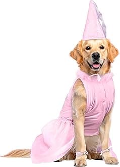 Rubies Old Lady Pet Wig for Dogs or Cats, Small/Medium