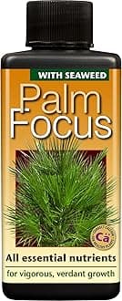 Palm Focus 100 ml