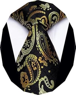 3.15'' Men's Necktie Paisley Floral Silk Ties for Men Formal Business Party Tie