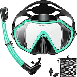 Snorkeling Gear for Adults, Dry Adult Snorkel Set HD Panoramic View Snorkel Mask Set, Anti-Leak and Anti-Fog Scuba Diving Package with Mesh Bag Ear Plug for Snorkeling Scuba Diving Travel