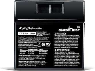Schumacher ElectricTB3 12V 9.5AH Battery