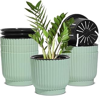T4U 6 Inch Self Watering Pots for Indoor Plants, 6 Pack Plant Pots, Self Watering Planter for Indoor Plants, Durable Plastic Pots, Flower, Succulents (6 Pack, 6", Green)