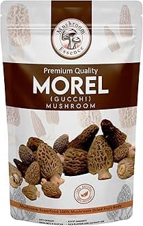 Mushroom Essence Morel Mushroom Medium Size Tail Cut (50g) Dried Wild Harvested Nature | Gucchi Mushroom | (Pack of 1)
