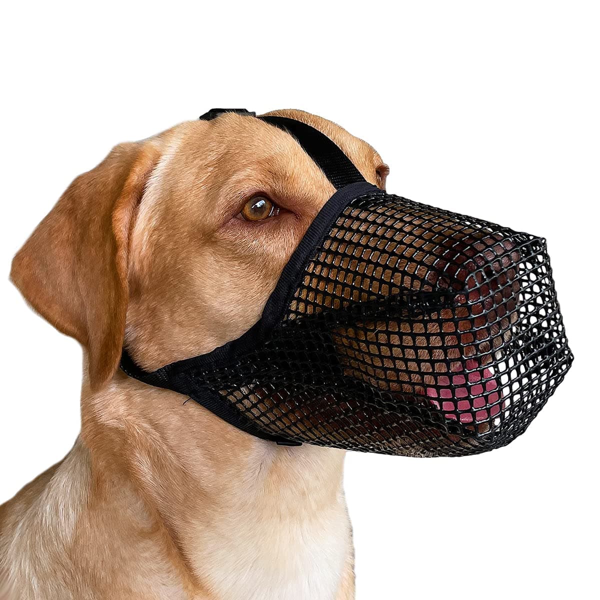 Mayerzon Dog Muzzle, Soft Mesh Covered Muzzles for Small Medium Large Dogs, Poisoned Bait Protection Muzzle with Adjustable Straps, Prevent Biting Chewing and Licking