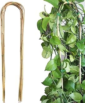 Avalution 10 Pcs Natural U-Hoops Bamboo Garden Trellis, 4 Ft Bamboo Trellis U-Shape Plant Support for Climbing Plants Indoor and Outdoor Use
