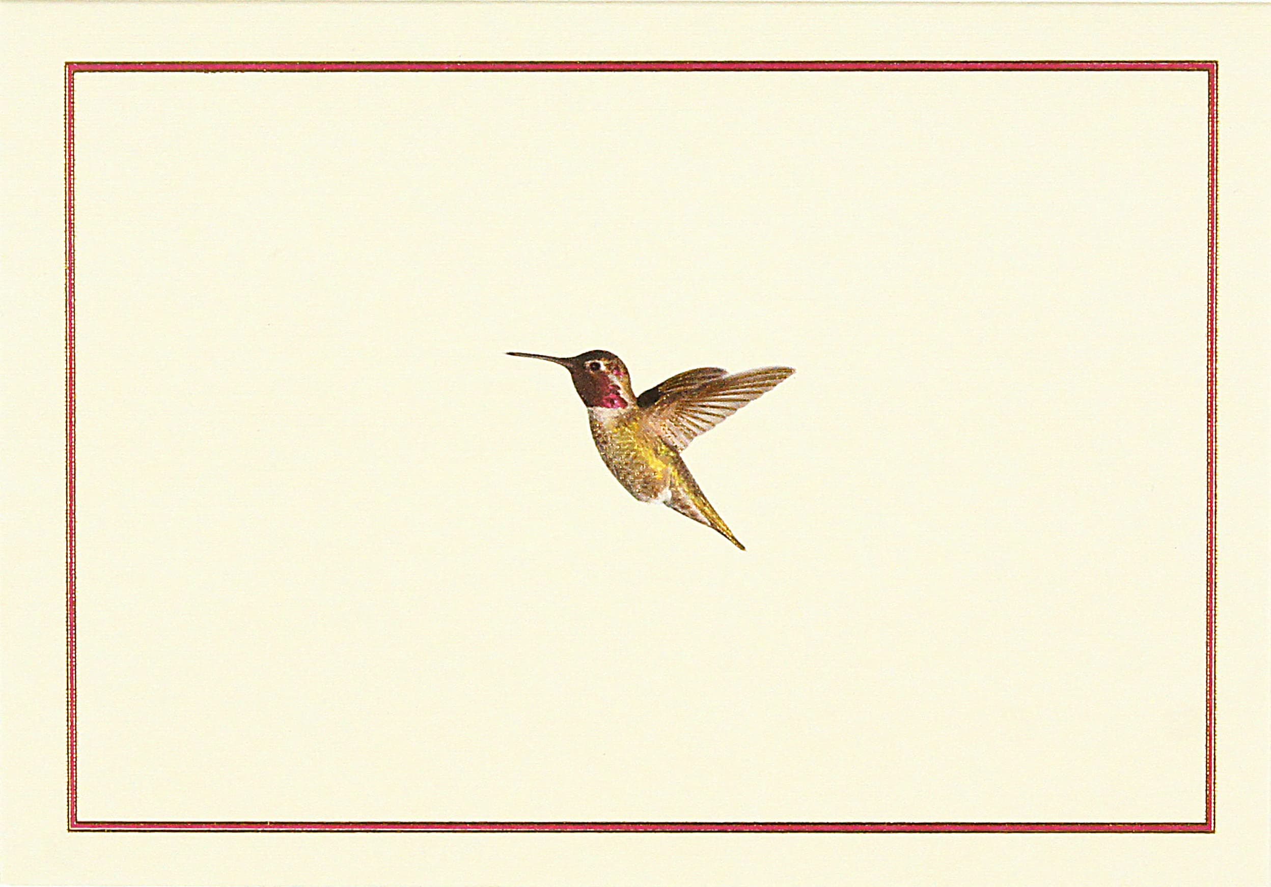 Hummingbird Flight Note Cards (14 cards and 15 self-sealing envelopes)