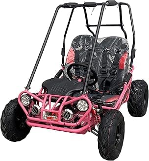 Trailmaster Mini XRX/R+ Go Kart with Reverse Top of The line. Age up to 10 Years Old Pedals and Seats Adjust (Pink)